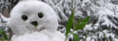 Snowman in a winter garden